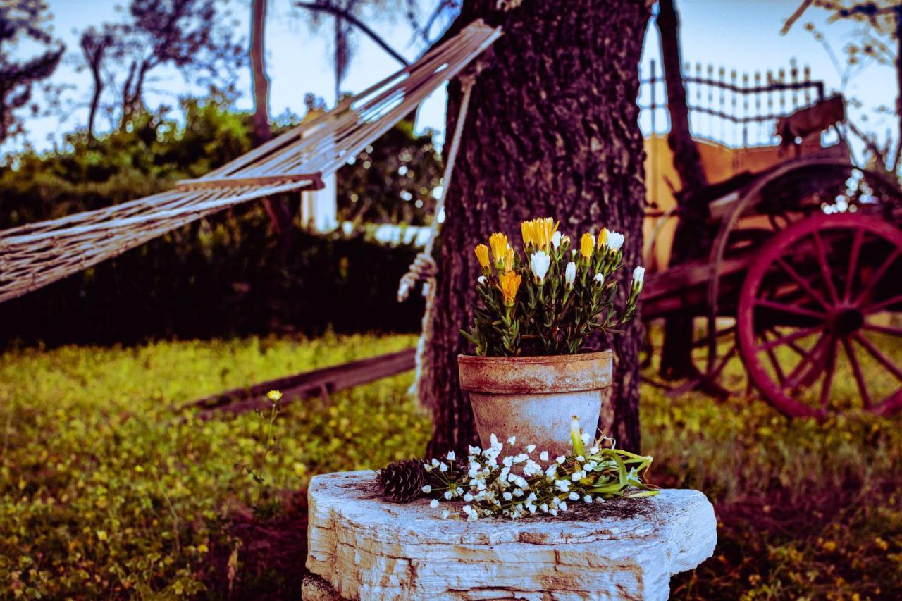 Antica Casina B&B Di Charme プルサーノ エクステリア 写真