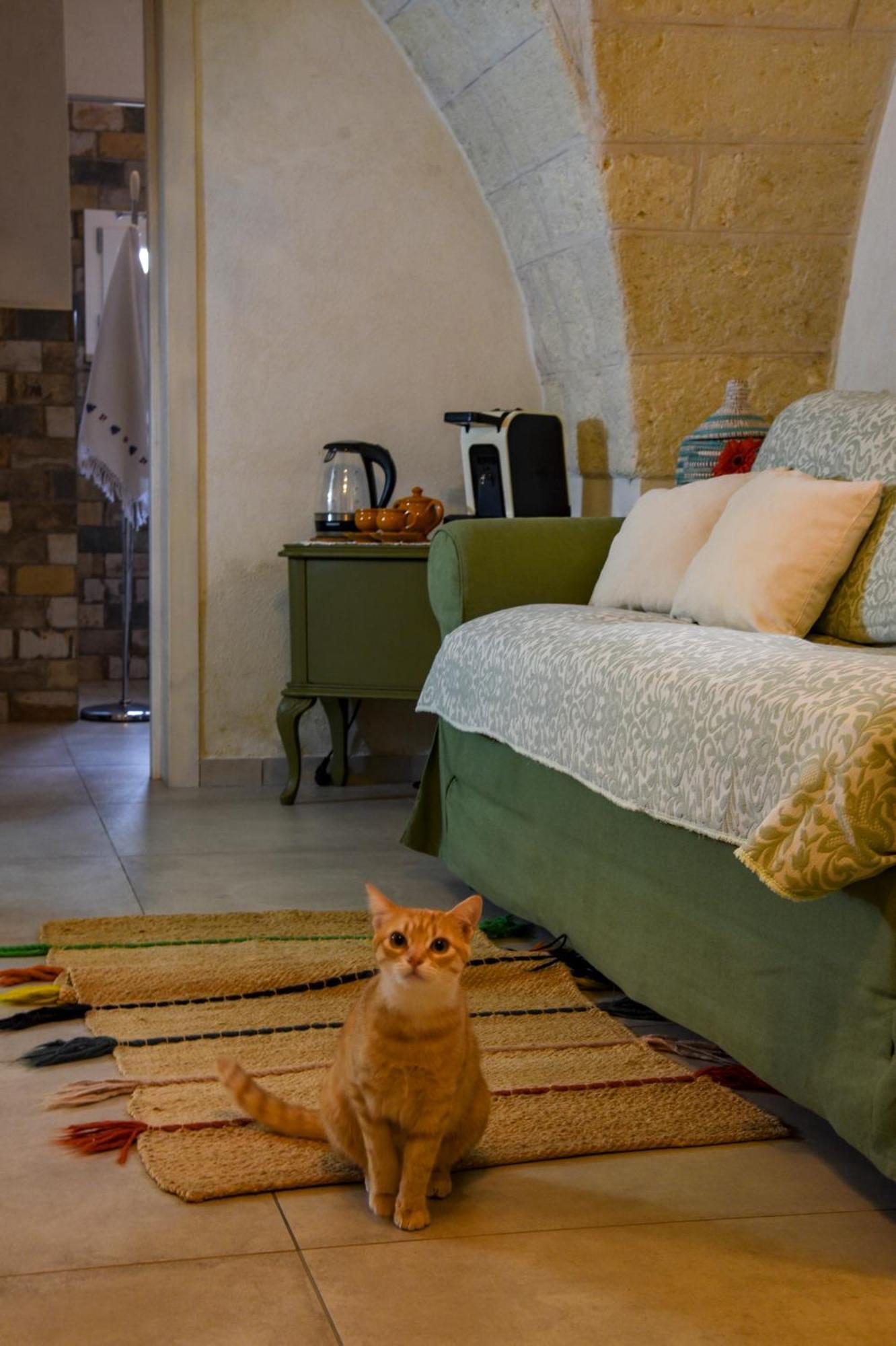 Antica Casina B&B Di Charme プルサーノ エクステリア 写真