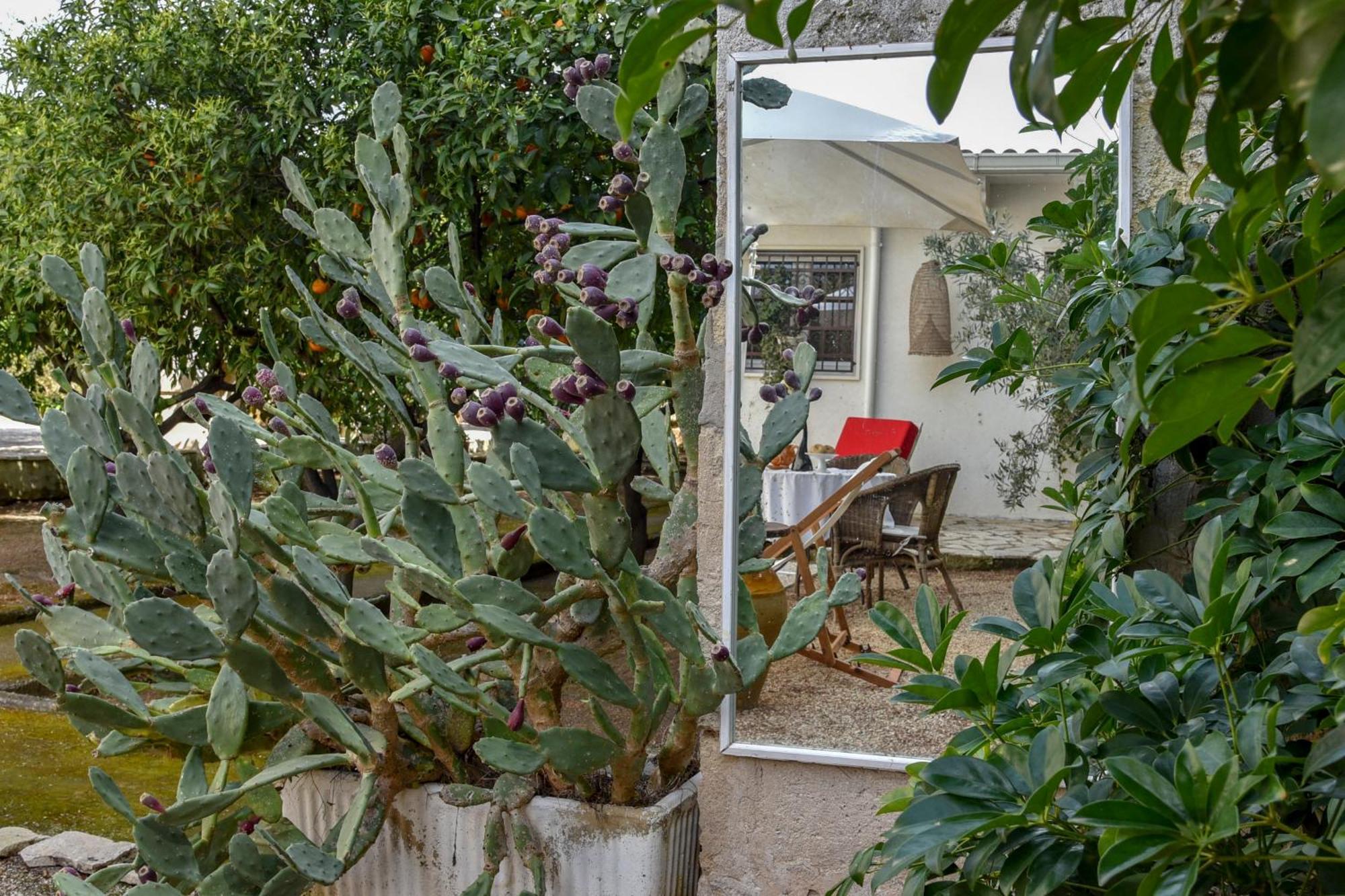Antica Casina B&B Di Charme プルサーノ エクステリア 写真